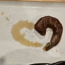 돈유3로 이미지