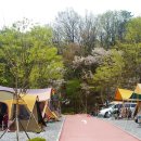 성남가족캠핑숲 이미지