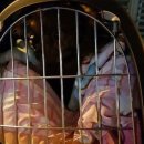 오산제일주유소 이미지