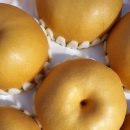 스포애니 명일역점 이미지