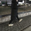 헤이호우