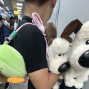 록게임장 이미지