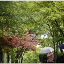 일곡 제1근린공원 이미지