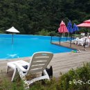 로로포레 이미지