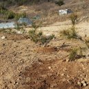 두릉농장 이미지