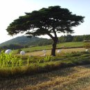 봉명목장 이미지