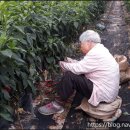 달봉농원 이미지