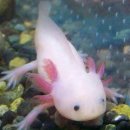 밀키블루 이미지