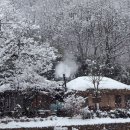 향-고향의 정 이미지