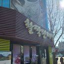 서촌 활짝핀메밀 후기