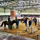 블루홀스 승마센터 이미지