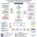 영혼몸 (도표) 이미지