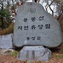 용봉산자연휴양림 이미지