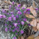 용유2리 마을회관 이미지