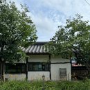 차꽃오미 이미지