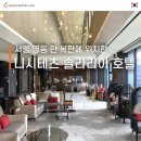 [명동 호텔 추천] 가격도 뷰도 만족, 서울 명동 솔라리아 호텔 리뷰 1편