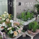 스위트드림플라워성신여대입구역