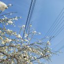 수양민박 이미지