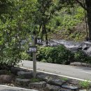 복골캠핑장 이미지