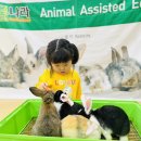 [2월 동물체험] 귀여운 애완동물 친구들을 만났어요🐰💗 이미지