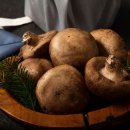 평창섬유 이미지