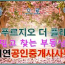 교방공인중개사사무소 이미지
