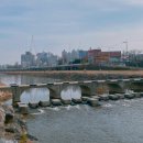 서암대로 이미지