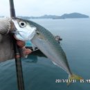 낚시만세 이미지