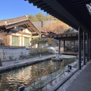 닥터스팀 | 나무향기한증막 예약 없이 방문 후기