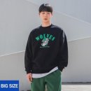 5797 이미지