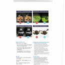 (사단법인)한국우주항공산업협회