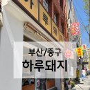 은산빌딩 | [부산/중구] 직장인 필수 코스 낮엔 돈가스 밤엔 고깃집 '하루 돼지' 솔직후기