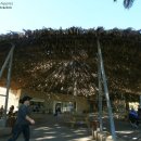 엔게디(Ein Gedi) 이미지