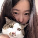 쎄미헤어크리닉