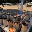 삼가1통 이미지