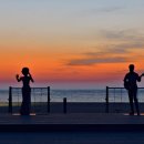 낙산바다사랑 이미지