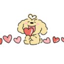 일월육일원주점 이미지