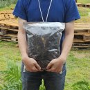 흙으로의 여행 이미지