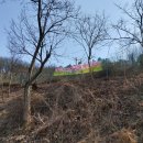 구암동381 이미지