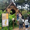 봉래초등학교 | 지천초등학교 제주 수학여행 실제 후기로 본 학교가 6개월 전 결정하는 4가지 핵심 기준 심화 가이드