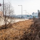 산의천 이미지