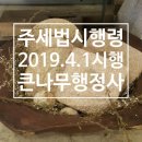 큰나무 행정사 사무소 이미지