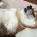 럭키월드