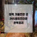 한국전력공사(본관3층) | 태백 365세이프타운 완벽정리 아이와 가볼만한 곳 성인끼리가도 재밌음 멀미정보 꿀팁