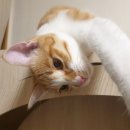 엘알마 라운지 이미지