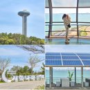 피노키즈태양광발전소 | 대부도 당일치기 여행코스 추천 시화 달전망대부터 감성카페, 한식당까지