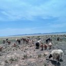 리더스마트(해도점) | [왬몽골일기4] 몽골 5박 6일(내돈내산) 정리 및 후기(총 경비, 전체 일정, 준비물 꿀팁 공유)