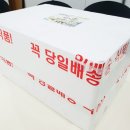 민들레치과 이미지