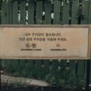 커피에반하다동탄센테라 | 강릉 테라로사 경포호수점 이색적인 분위기에 반하다