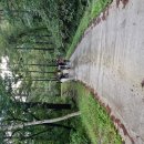 거창백두대간생태교육장 | 백두대간 북진종주 12구간